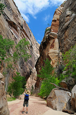 DSC_2552.jpg (4288x2848) NIKON D300 - 18-200mm f/3.5-5.6 // F6,3 // 1/160 sec // ISO 200 // 20,0 mm // no Flash // 2008:07:15 14:48:47 DSC_2552.jpg (4288x2848) NIKON D300 - 18-200mm f/3.5-5.6 // F6,3 // 1/160 sec // ISO 200 // 20,0 mm // no Flash // 2008:07:15 14:48:47